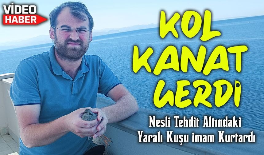 Nadir kuş türü cami imamı tarafından yaralı bulundu: Kara karınlı kum kuşu koruma altına alındı