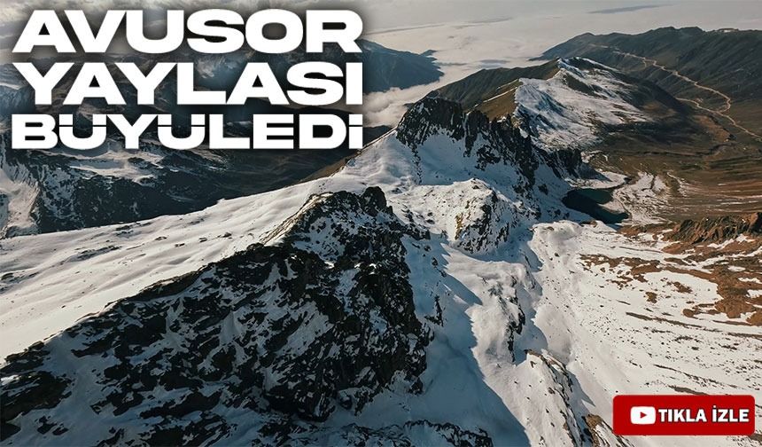 İskandinavya Değil Rize: Avusor Yaylası Görenleri Büyülüyor