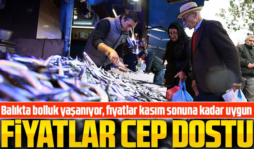 Akdeniz’de Balık Bolluğu: Mersin’de Fiyatlar Cep Dostu!