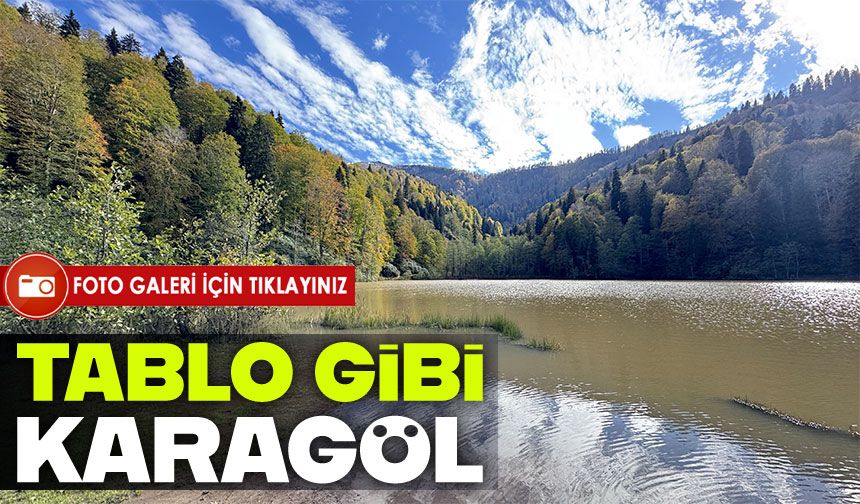Artvin Borçka Karagöl sonbaharda renk cümbüşüne büründü: Ziyaretçiler büyülendi