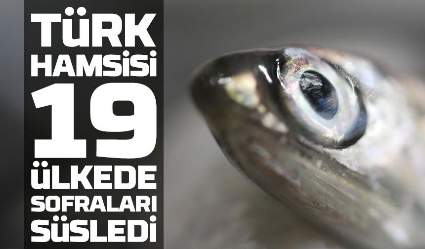 Türk Hamsisi 19 Ülkede Sofraları Süsledi: 9 Ayda 11,3 Milyon Dolarlık İhracat