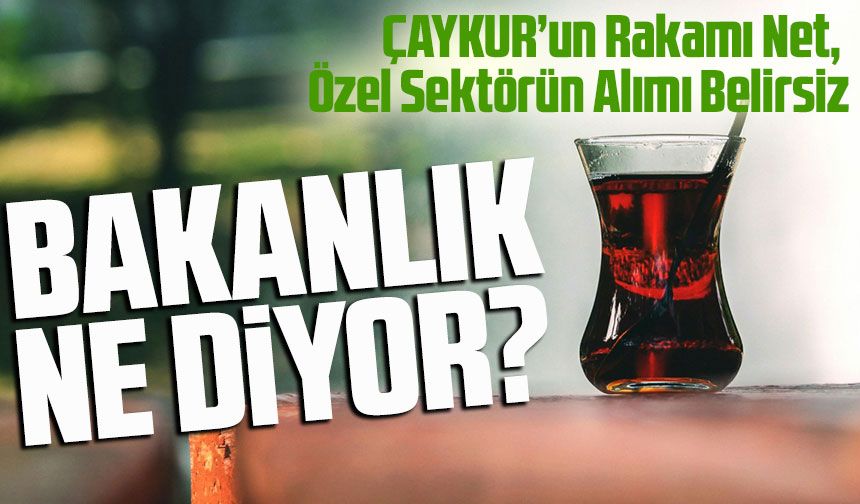 Bugün Çayda Fiyat Tartışması Alevlendi: ÇAYKUR’un Rakamı Net, Özel Sektörün Alımı Belirsiz