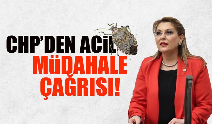 CHP'den Acil Müdahale Çağrısı! Gezmiş Konuştu