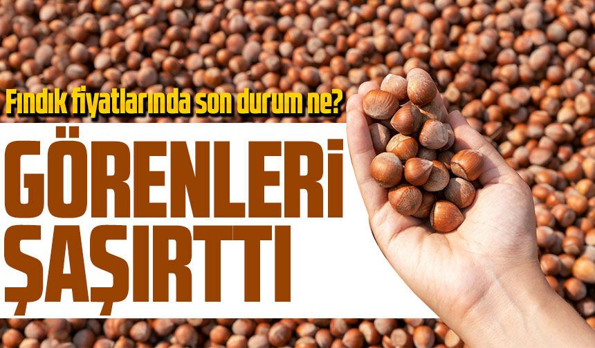 Güncel Fındık Fiyatları Ne Kadar Oldu? Trabzon Ordu Giresun Fiyat Listesi...