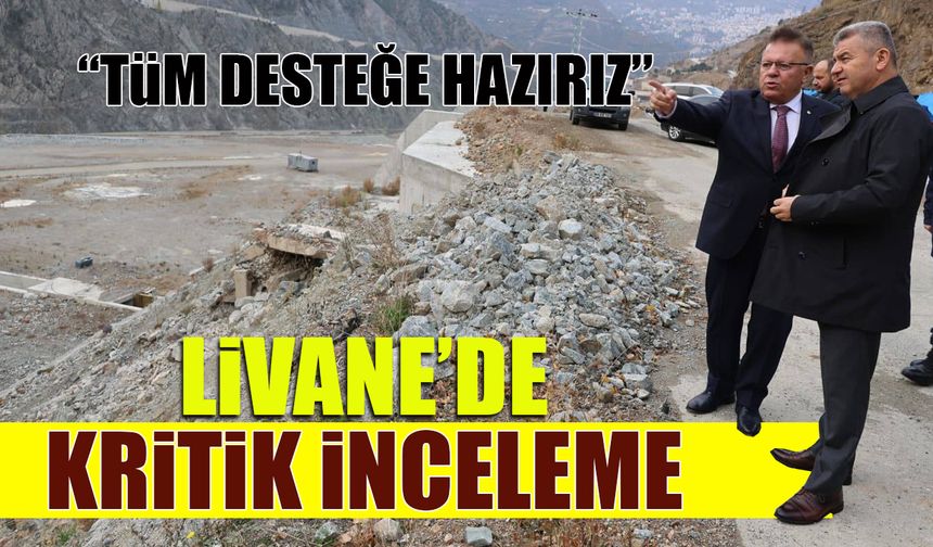 Vali Ergün ve Milletvekili Çelik, Livane Sanayi Sitesi’nde incelemelerde bulundu