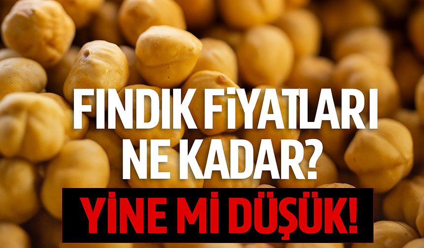 Fındık Fiyatları Ne Kadar? Kilogramda 270 TL Eşiği Aşıldı Mı?