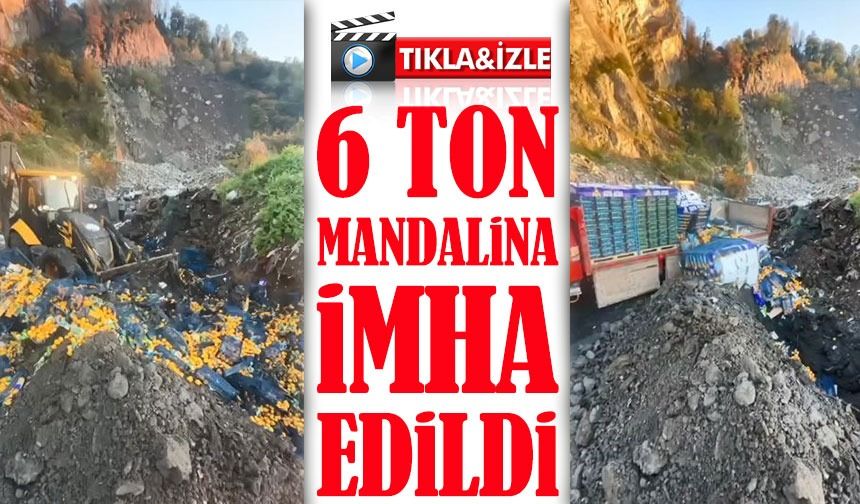 Sarp Sınır Kapısı’nda 6 Ton Mandalina İmha Edildi: Zirai Kalıntı Alarmı