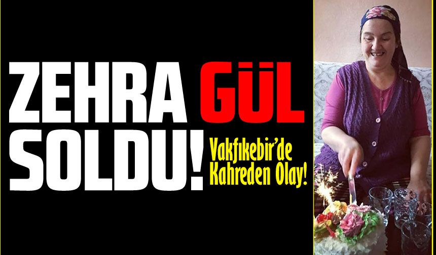 Vakfıkebir Kemaliye’de dördüncü kattan atlayan kadın hayatını kaybetti