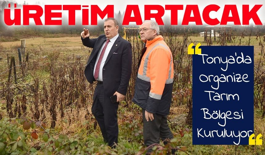 Tonya’da Süt ve Tereyağı Üretimini Artıracak Organize Tarım Bölgesi Kuruluyor