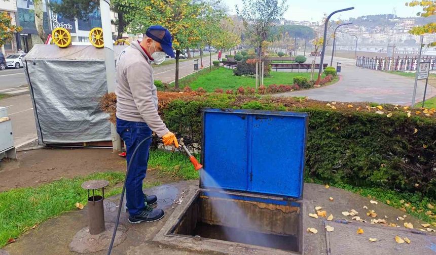 Ordu'da haşerelere karşı kışlak çalışması başlatıldı