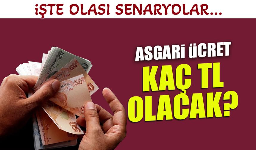 Asgari Ücret Kaç TL Olacak? İşte Olası Senaryolar...