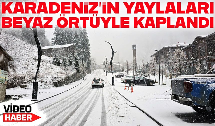 Rize ve Artvin’in yüksek kesimlerinde kar etkili oldu: Yaylalar beyaza büründü