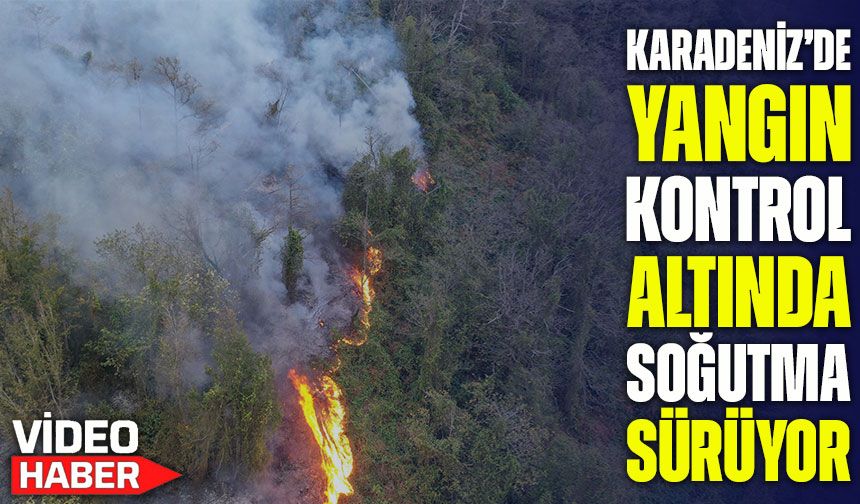 Hopa’da yangın sonrası soğutma çalışmaları sürüyor, vatandaşlar uyarıldı