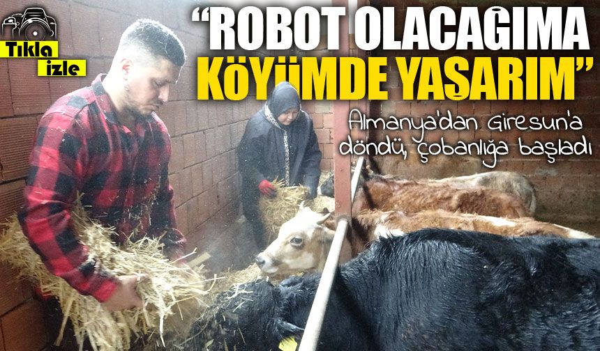 Almanya’dan Giresun’a döndü, çobanlığa başladı: “Robot olacağıma köyümde yaşarım”