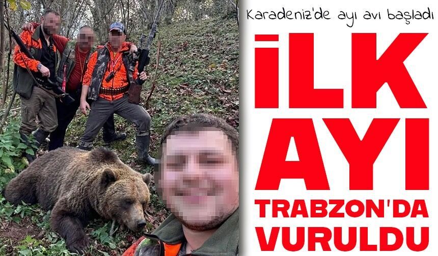 Yerleşim alanlarına inen ayılar için başlatılan sürek avı sonuç verdi: İlk ayı vuruldu