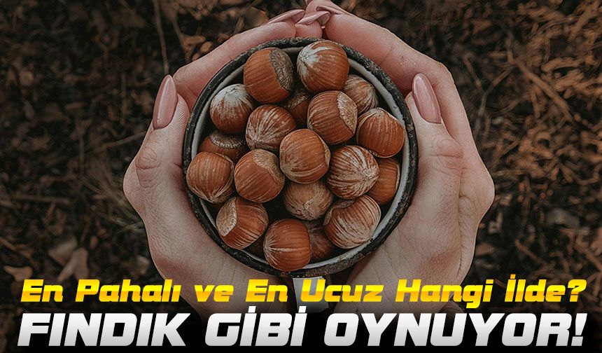 Fındık Fiyatlarında Dikkat Çeken Tablo: En Pahalı ve En Ucuz Hangi İlde?