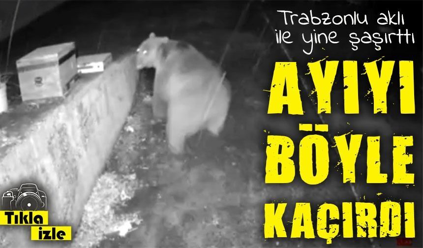 Trabzonlu vatandaşın anons sistemi ayıyı korkutup kaçırdı