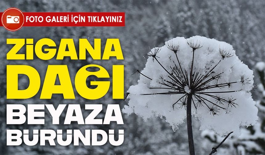 Zigana Dağı beyaza büründü: Kar kalınlığı 10 santimetreye ulaştı