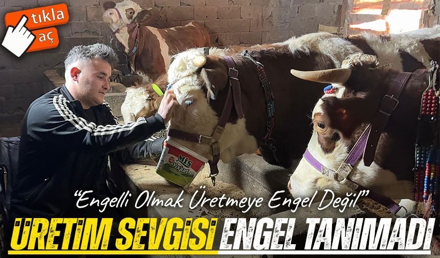 Bir Büyükbaşla Başladı, Mandıra Kurdu: Osman Altun’un Azim Dolu Hikâyesi