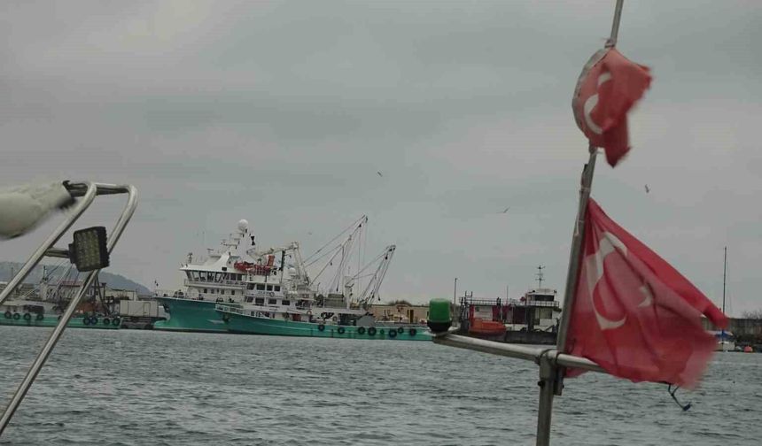 Türkiye'yi terk eden hamsinin yolu gözleniyor