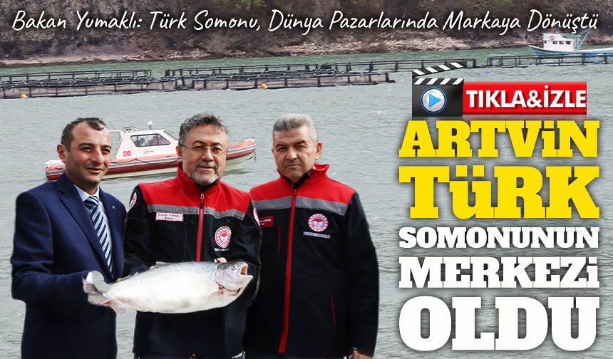 Artvin Türk Somonunun Merkezi Oldu: 3 Bin Tonluk Üretimle 765 Milyon TL’lik Katkı