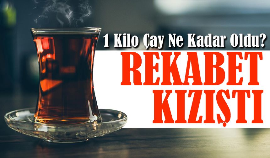 Güncel Çay Fiyatları 1 Kilo Çay Ne Kadar Oldu?