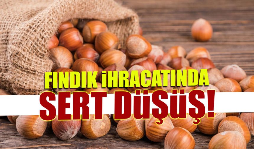 Fındık Fiyatlarında Yeni Tablo Karadeniz Genelinde Bugün Son Durum
