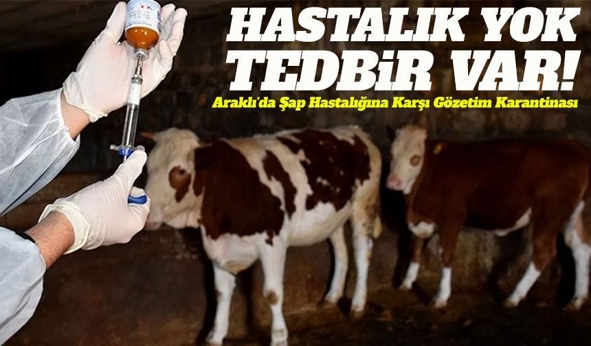 Araklı’da Hastalık Yok Ama Tedbir Var: Şap Riskine Karşı Önleyici Adım