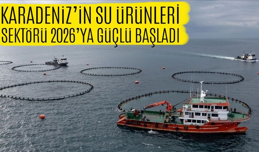 Karadeniz’de Su Ürünleri İhracatı Yüzde 46 Artarak 28 Milyon Doları Geçti