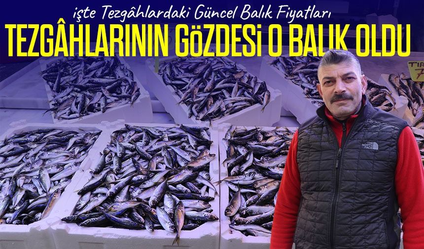 Rize'de İstavrit Fiyatı Yüzde 50 Arttı: Balıkçılar Sezonun Bereketinden Memnun