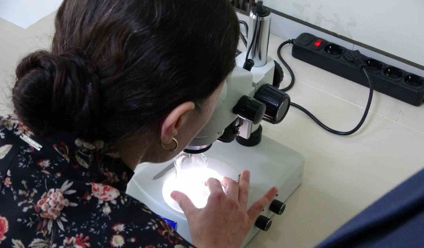 Kolorektal kanser tedavisi için yeni umut