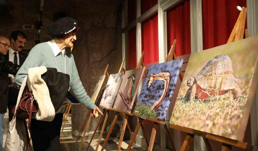 Kuş Cenneti'nden muhteşem kareler TBMM yolunda