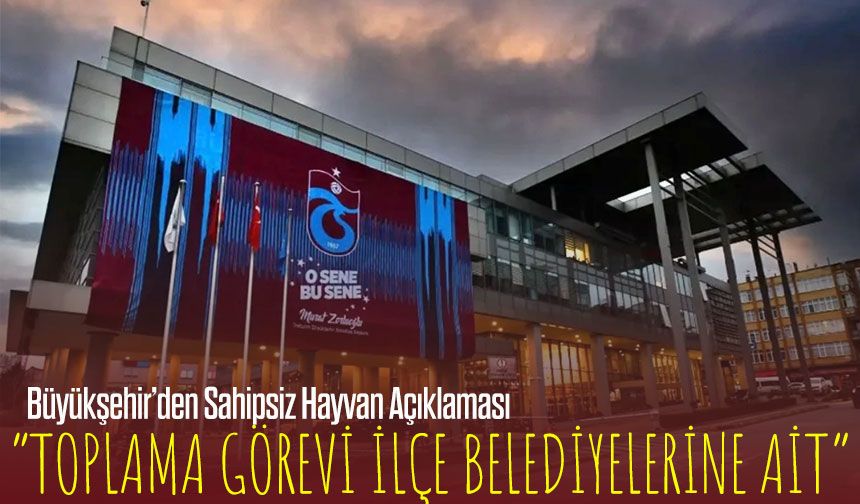 Büyükşehir’den Sahipsiz Hayvan Açıklaması: Görev İlçe Belediyelerinde