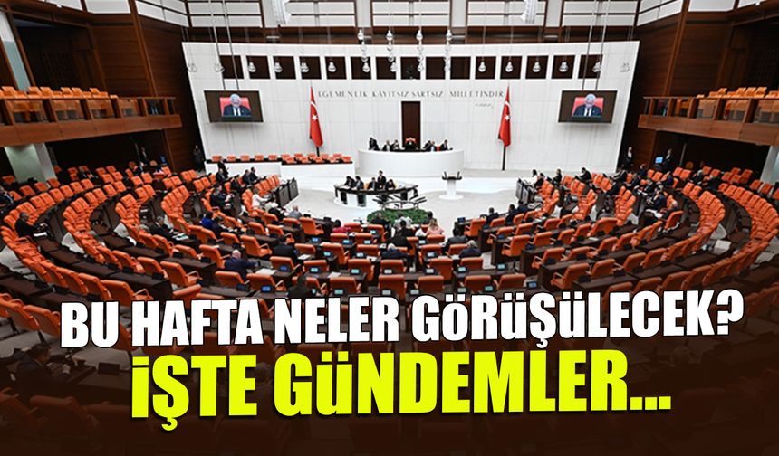 Bu Hafta TBMM'de Neler Görüşülecek? İşte Gündemler...