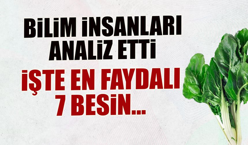 Bilim İnsanları 1000 Gıdayı Analiz Etti! İşte En Faydalı 7 Besin...