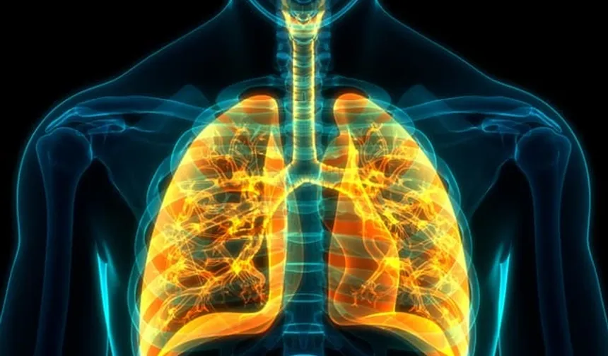 KOAH riski sigara ile artıyor