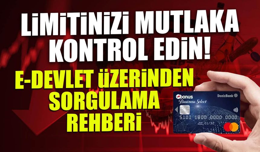 Limitinizi Mutlaka Kontrol Edin! E-Devlet Üzerinden Sorgulama  Rehberi