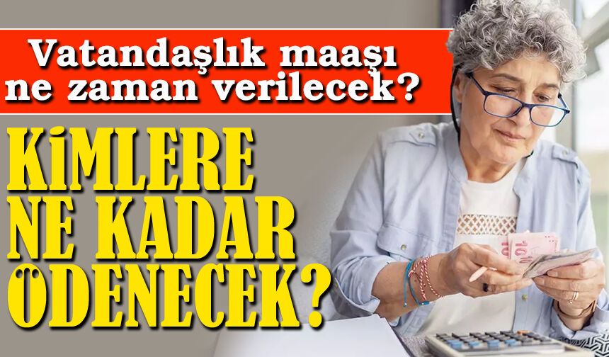 Vatandaşlık Maaşı İçin Geri Sayım: Kimler Alacak, Ne Kadar Ödenecek?