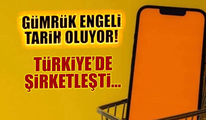 Temu Türkiye'de Şirket Kurdu! Gümrükte Takılan Paketlere Son!