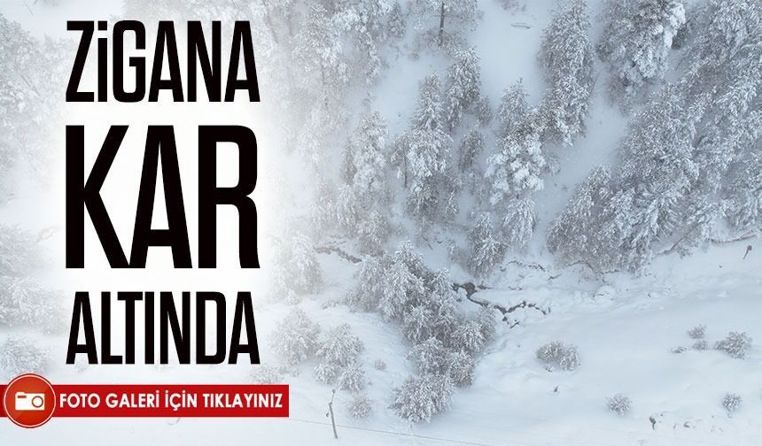 Zigana Dağı’nda Kar Alarmı: Sürücülere Zincir ve Kış Lastiği Uyarısı