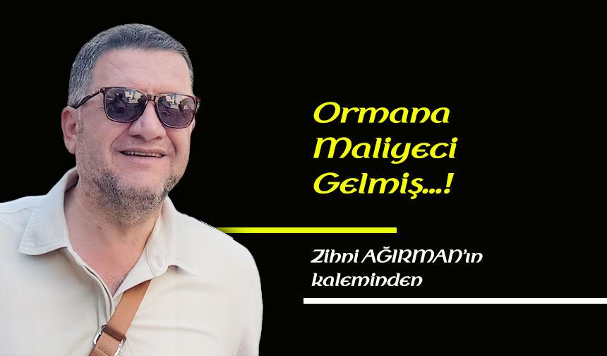 Ormana Maliyeci gelmiş…!