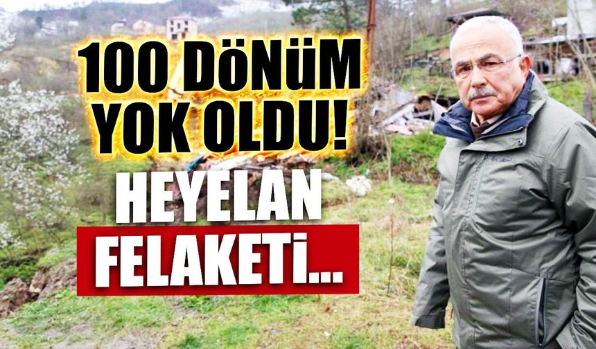 100 Dönüm Yok Oldu! Ordu'da Heyelan Felaketi...