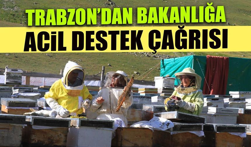 Arıcılar Alarm Verdi! Trabzon’dan Bakanlığa Acil Destek Çağrısı