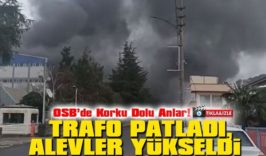 Arsin OSB’de Korkutan Yangın: Fındık Fabrikasında Trafo Patladı!