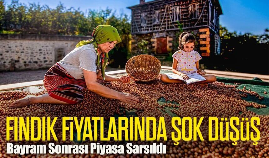 Fındık Fiyatlarında Şok Düşüş: Bayram Sonrası Piyasa Sarsıldı