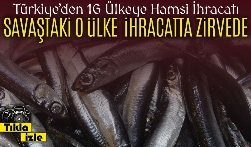 Savaş Devam Ediyor Ama Hamsi İhracatında Ukrayna Türkiye’nin En Büyük Pazarı Oldu