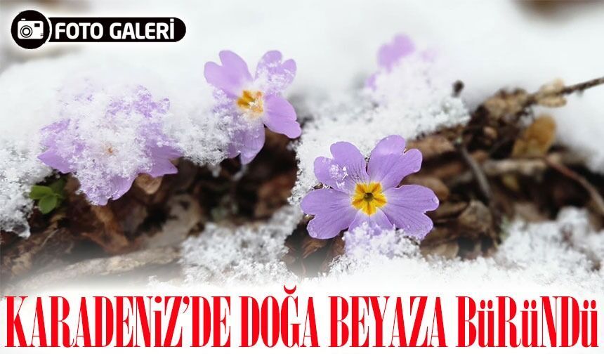 Doğu Karadeniz’de Soğuk Hava Etkisini Sürdürüyor: Köy Yolları Kapandı