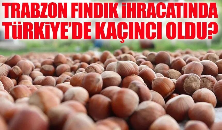 Doğu Karadeniz’in Altını: Trabzon’dan Fındık İhracatı Artıyor