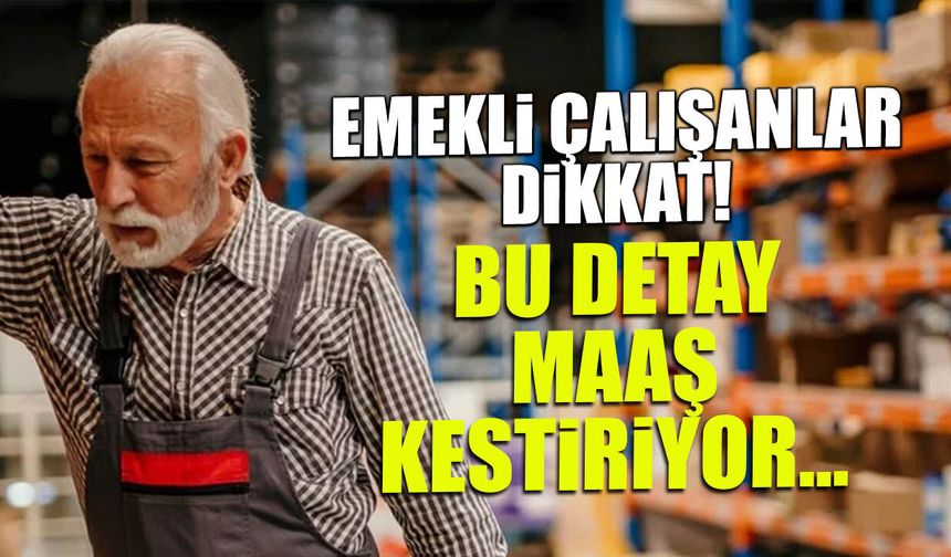 Emekli Çalışanlar İçin Kritik Uyarı: Bu Detay Maaşı Kestiriyor