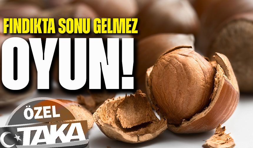 Fındıkta Büyük Şok: Fiyatlar Çakıldı, Üretici Karar Aşamasında